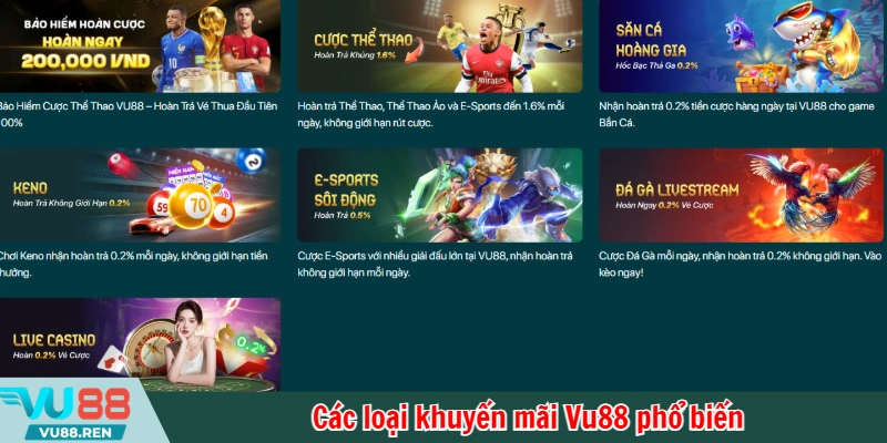Các loại khuyến mãi Vu88 phổ biến