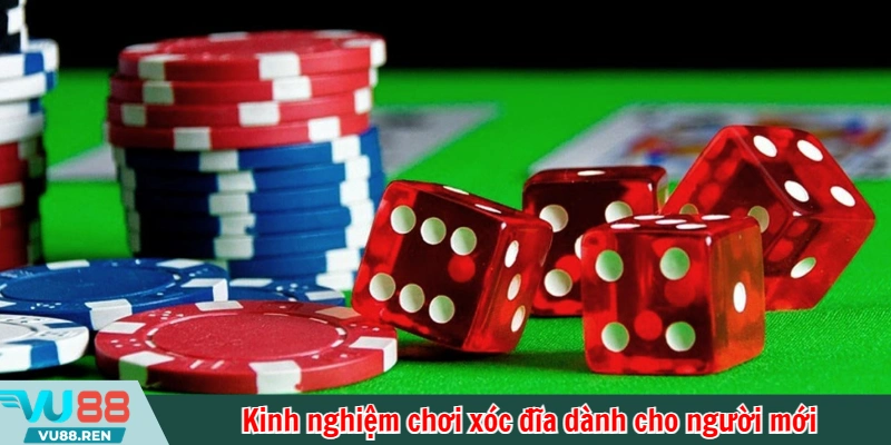 Kinh nghiệm chơi xóc đĩa dành cho người mới