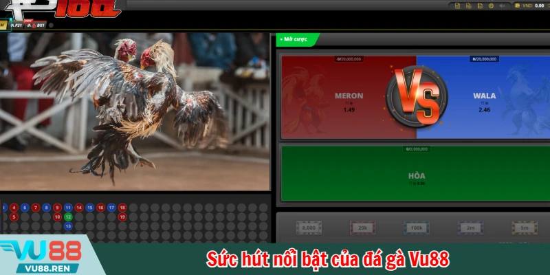 Sức hút nổi bật của đá gà Vu88