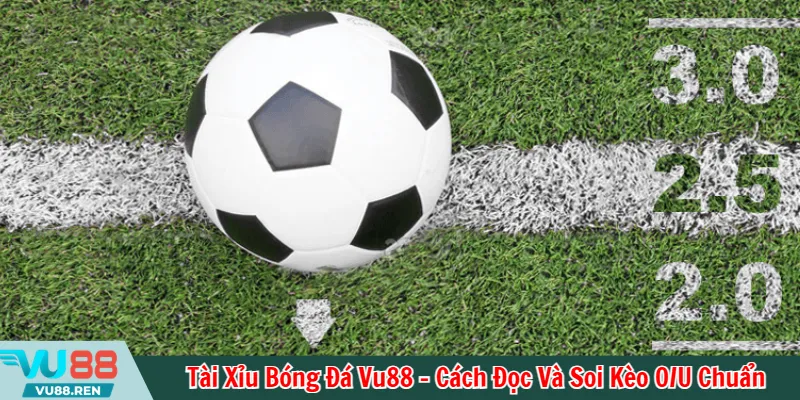 Tài xỉu bóng đá